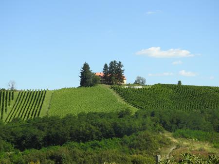 21. tradicionalna prireditev Pozdrav jeseni 2017 ob prazniku Marijinega vnebovzetja 45